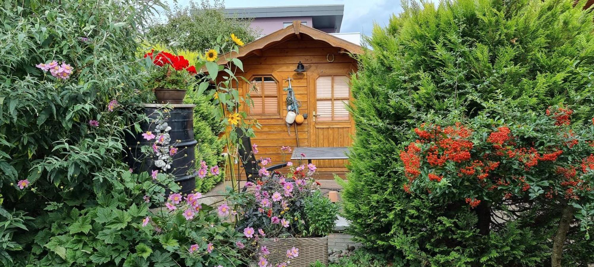 Ferienwohnung Kollwitz Sassnitz Ngoại thất bức ảnh